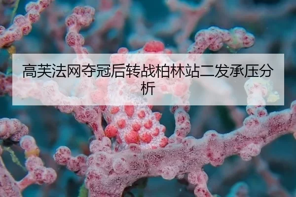 gao-fu-fa-wang-duo-guan-hou-zhuan-zhan-bo-lin-zhan-er-fa-cheng-ya-fen-xi-2-233.jpg